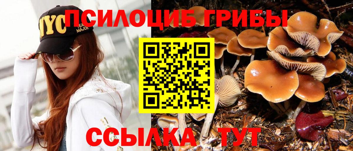 Галлюциногенные грибы мицелий Усолье-Сибирское