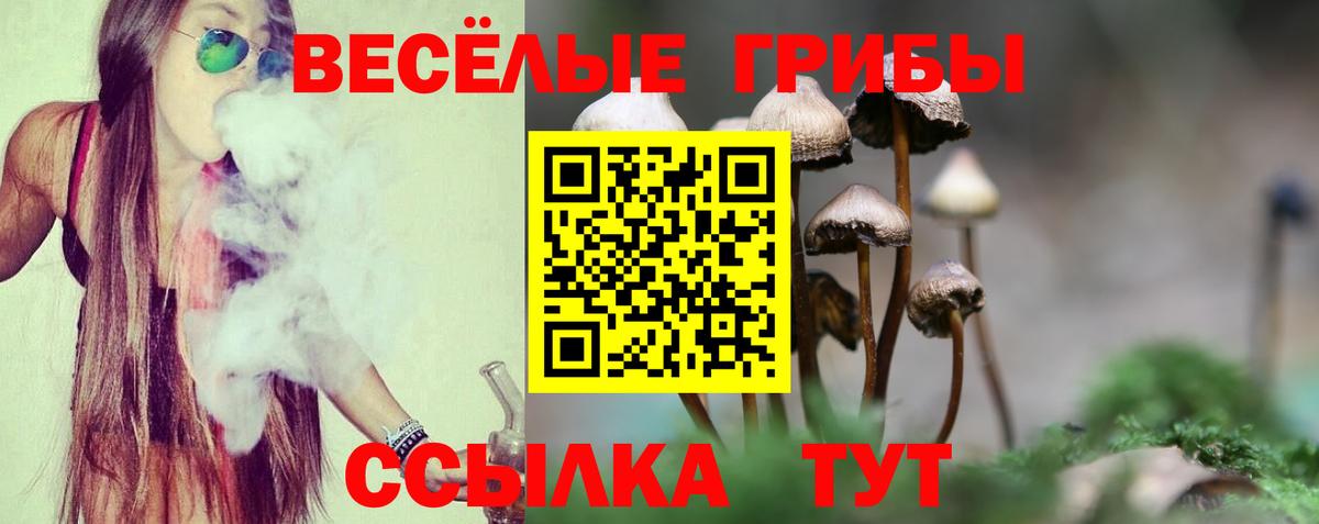Псилоцибиновые грибы Psilocybe  Вход с VPN  Псилоцибиновые грибы мицелий  наркотики  Усолье-Сибирское 